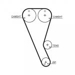 Hammasrihm GATES T363HOB
