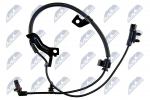 Andur, rattap&ouml;&ouml;rete arv NTY HCA-CH-072
