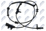 Andur, rattap&ouml;&ouml;rete arv NTY HCA-CH-059