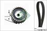 Hammasrihma komplekt Schaeffler INA 530 0221 10