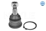 Kande-/juhtliigend MEYLE 30-16 010 0069