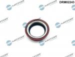 V&otilde;lli r&otilde;ngastihend,diferentsiaal Dr.Motor Automotive DRM02243