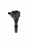 S&uuml;&uuml;tepool BorgWarner (BERU) ZS596
