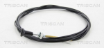 &Otilde;huklapi v&otilde;ll,Karburaator TRISCAN 8140 91005