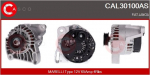 Generaator CASCO CAL30100AS
