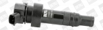 S&uuml;&uuml;tepool BorgWarner (BERU) ZS551