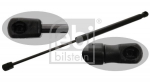 Gaasivedru, pagasi-/veoruum FEBI BILSTEIN 29281