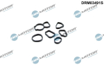 Tihendikomplekt,&otilde;liradiaator DR. MOTOR DRM03491S