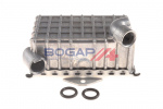 &Otilde;liradiaator,mootori&otilde;li BOGAP C4222101