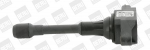 S&uuml;&uuml;tepool BorgWarner (BERU) ZSE088