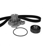 Veepump + hammasrihmakomplekt METELLI 30-0424-1
