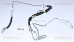 Pidurivoolik TRISCAN 8150 80304