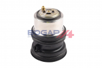 Termostaat,Jahutusvedelik BOGAP A4245143