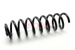 vedru ASHIKA ZCA5881C