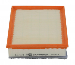 Oro filtras CHAMPION CAF101063P