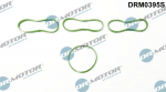 Tihendikomplekt,Sisselaskekollektor Dr.Motor Automotive DRM0395S