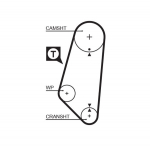 Hammasrihm GATES 5400