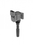 S&uuml;&uuml;tepool BorgWarner (BERU) ZSE223