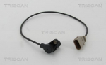 Andur, v&auml;ntv&otilde;ll TRISCAN 8855 29112