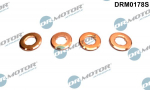 Kaitseseib,sissepritses&uuml;steem Dr.Motor Automotive DRM0178S