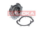 Veepump, mootori jahutus KAMOKA T0008