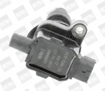 S&uuml;&uuml;tepool BorgWarner (BERU) ZS429