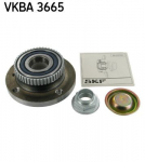 Rattalaagrikomplekt SKF VKBA 3665