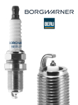 S&uuml;&uuml;tek&uuml;&uuml;nal BorgWarner (BERU) Z240