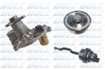 Veepump, mootori jahutus DOLZ B262V