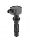 S&uuml;&uuml;tepool BorgWarner (BERU) ZS618
