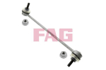 Stabilisaator,Stabilisaator Schaeffler FAG 818 0289 10