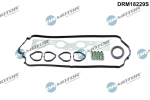 Tihendikomplekt,silindripea DR. MOTOR DRM18229S