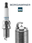 S&uuml;&uuml;tek&uuml;&uuml;nal BorgWarner (BERU) Z524