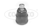 Kande-/juhtliigend CORTECO 49395648