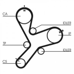 Hammasrihm CONTINENTAL CTAM CT1152