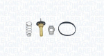 Termostaat,Jahutusvedelik MAGNETI MARELLI 352317004980