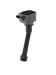 S&uuml;&uuml;tepool BorgWarner (BERU) ZSE260