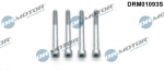 Kruvi, sissepritsed&uuml;&uuml;si kinnitus Dr.Motor Automotive DRM01093S