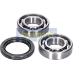 Rattalaagrikomplekt JAPANPARTS KK-17004