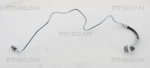 Pidurivoolik TRISCAN 8150 29289