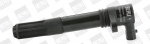 S&uuml;&uuml;tepool BorgWarner (BERU) ZS322