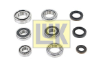 Remondikomplekt, k&auml;igukast Schaeffler LuK 462 0154 10