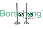 Sisselaskeventiil Borsehung B18637