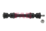Stabilisaator,Stabilisaator Schaeffler FAG 818 0304 10