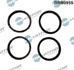 Tihendikomplekt,Sisselaskekollektor Dr.Motor Automotive DRM095S