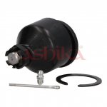 Kande-/juhtliigend ASHIKA 73-05-508