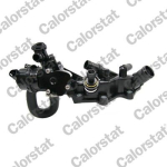 Jahutusvedeliku flants CALORSTAT by Vernet WF0306