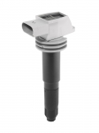S&uuml;&uuml;tepool BorgWarner (BERU) ZSE052
