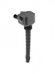 S&uuml;&uuml;tepool BorgWarner (BERU) ZS573
