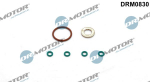 Tihendikomplekt, Sissepritsed&uuml;&uuml;s Dr.Motor Automotive DRM0830